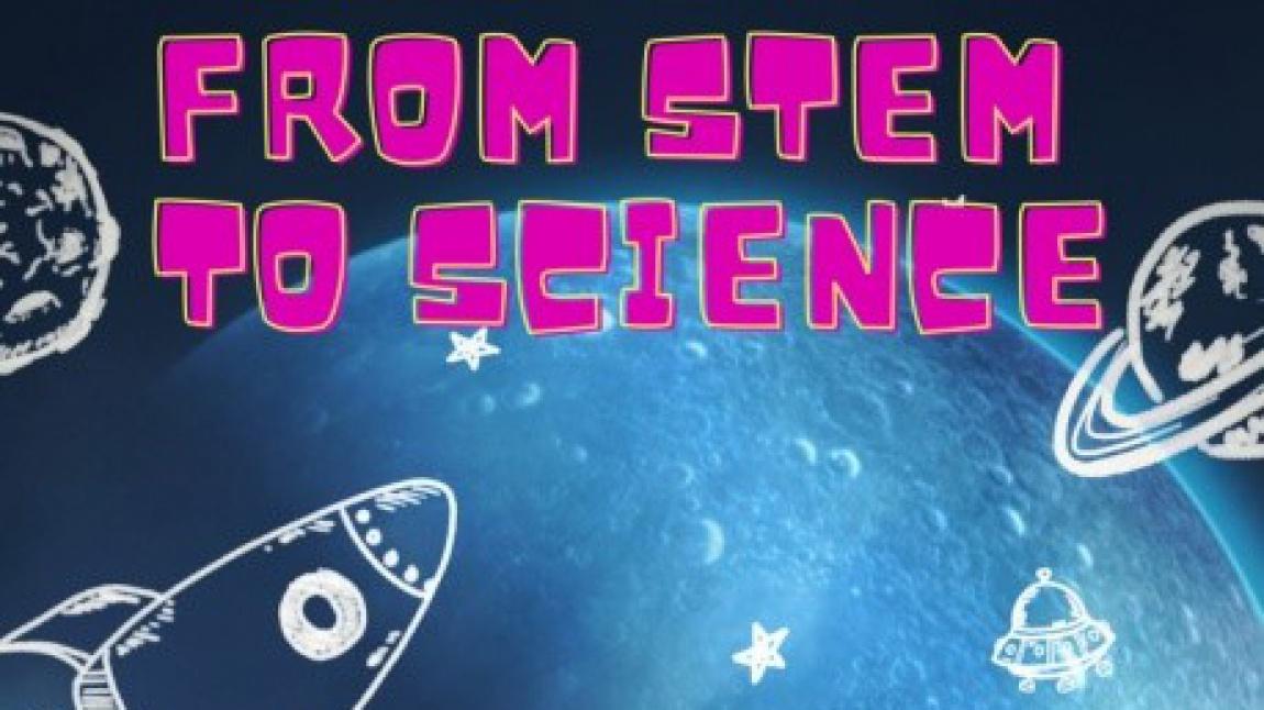 FROM STEM TO SCIENCE